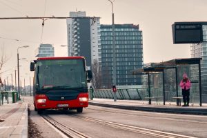 transport dla firm